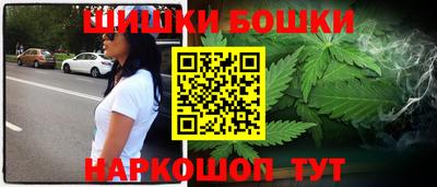 крисы Краснознаменск