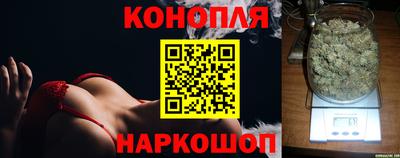 крисы Краснознаменск